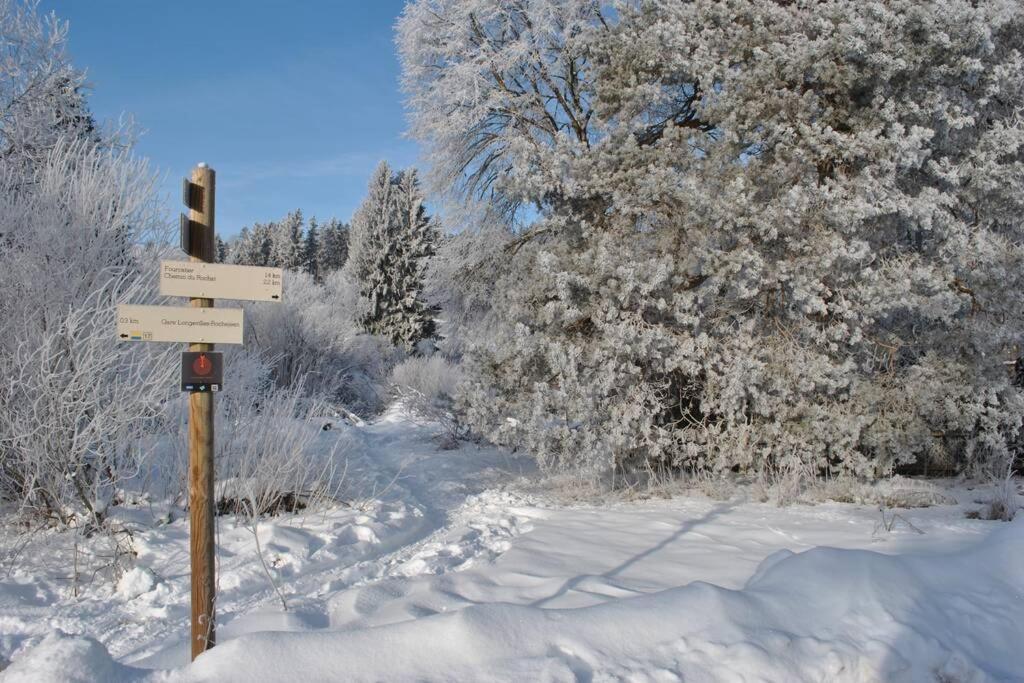 Gite Du Fourperet-Parc Naturel Du Haut-Jura Longevilles-Mont-dʼOr Exterior foto