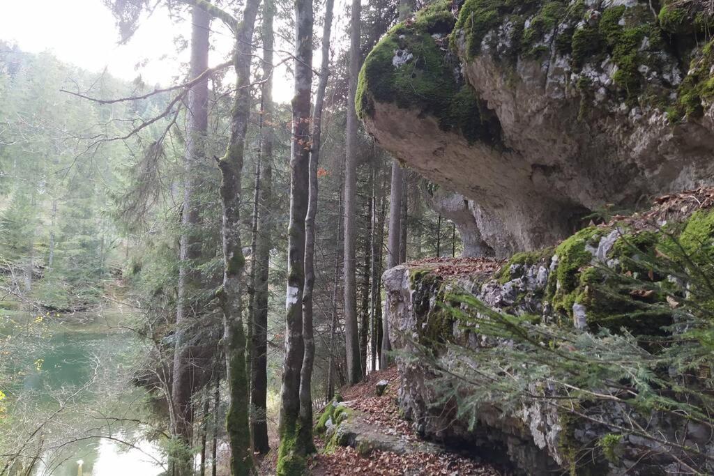 Gite Du Fourperet-Parc Naturel Du Haut-Jura Longevilles-Mont-dʼOr Exterior foto